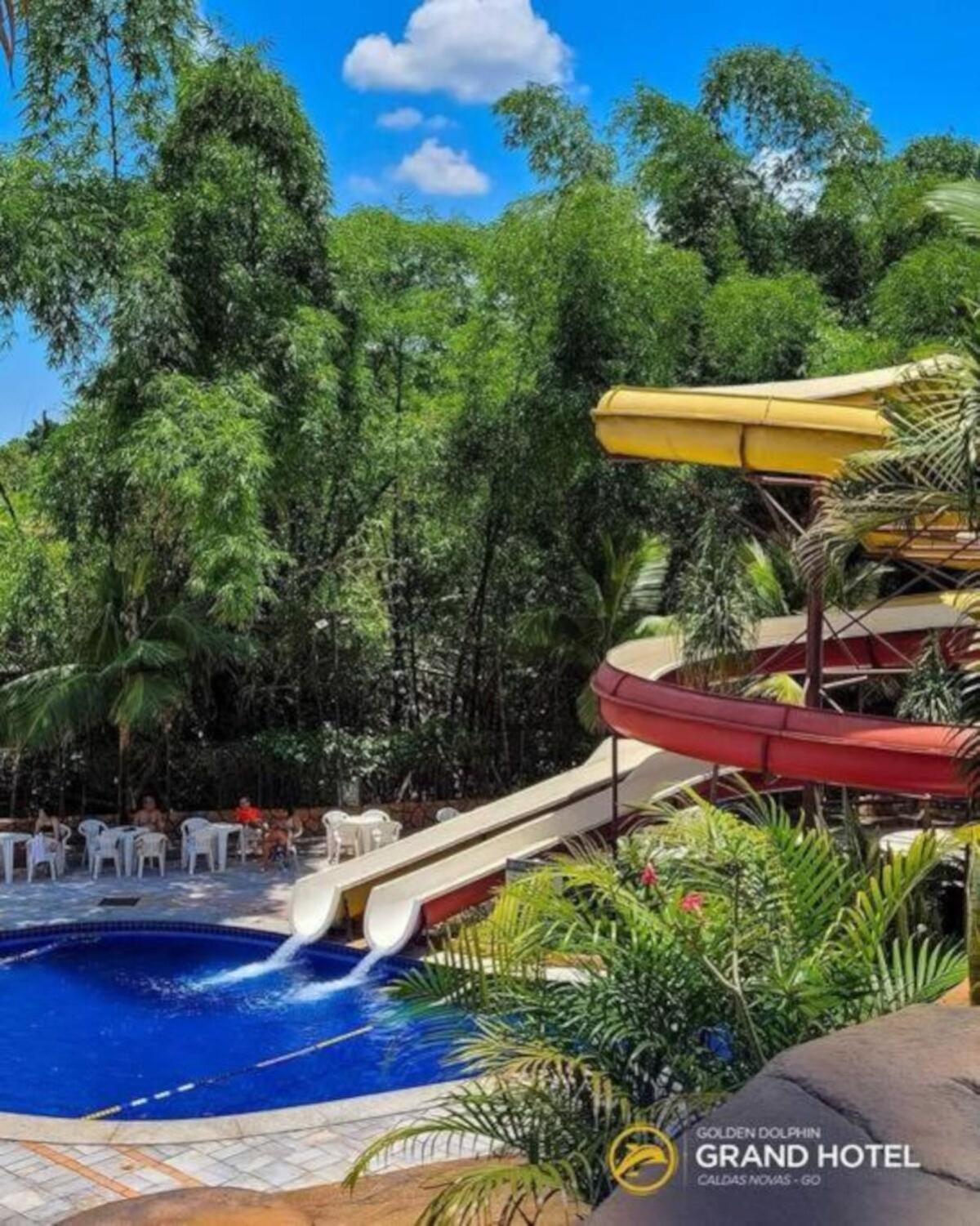 Golden Dolphin Grand Aconchegante 422